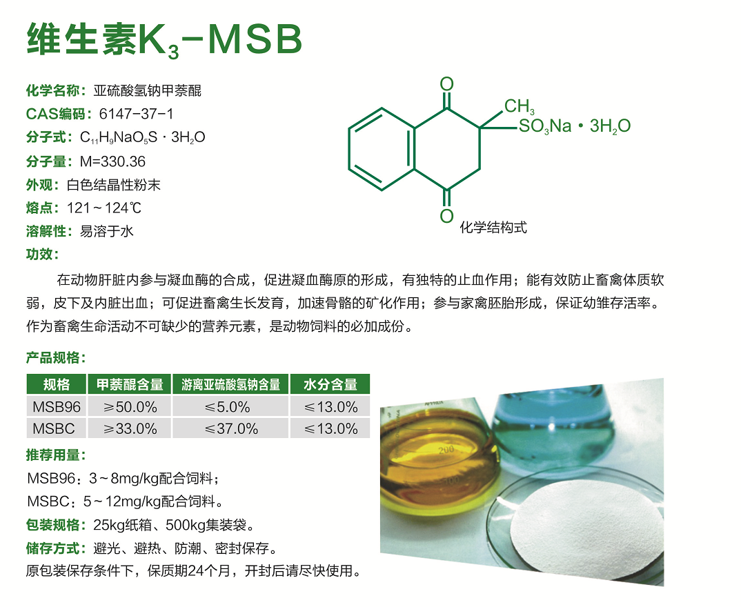 rb88随行版-rb88手机随行版登录入口